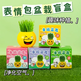 发光玩具;惯性回力玩具;减压玩具