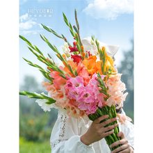 ٵĻ@фmN򻨻ͥԺֲA