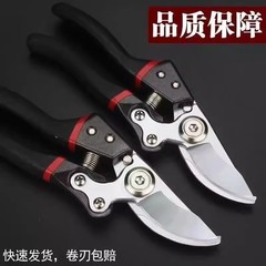 亚马逊强力剪树剪子果树剪园林修枝剪家用多功能药材花艺葡萄剪子