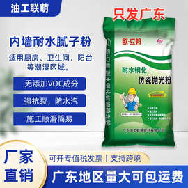 广东厂家内墙耐水腻子防霉防潮刮白找平打磨刷漆抛光跨境工厂批发