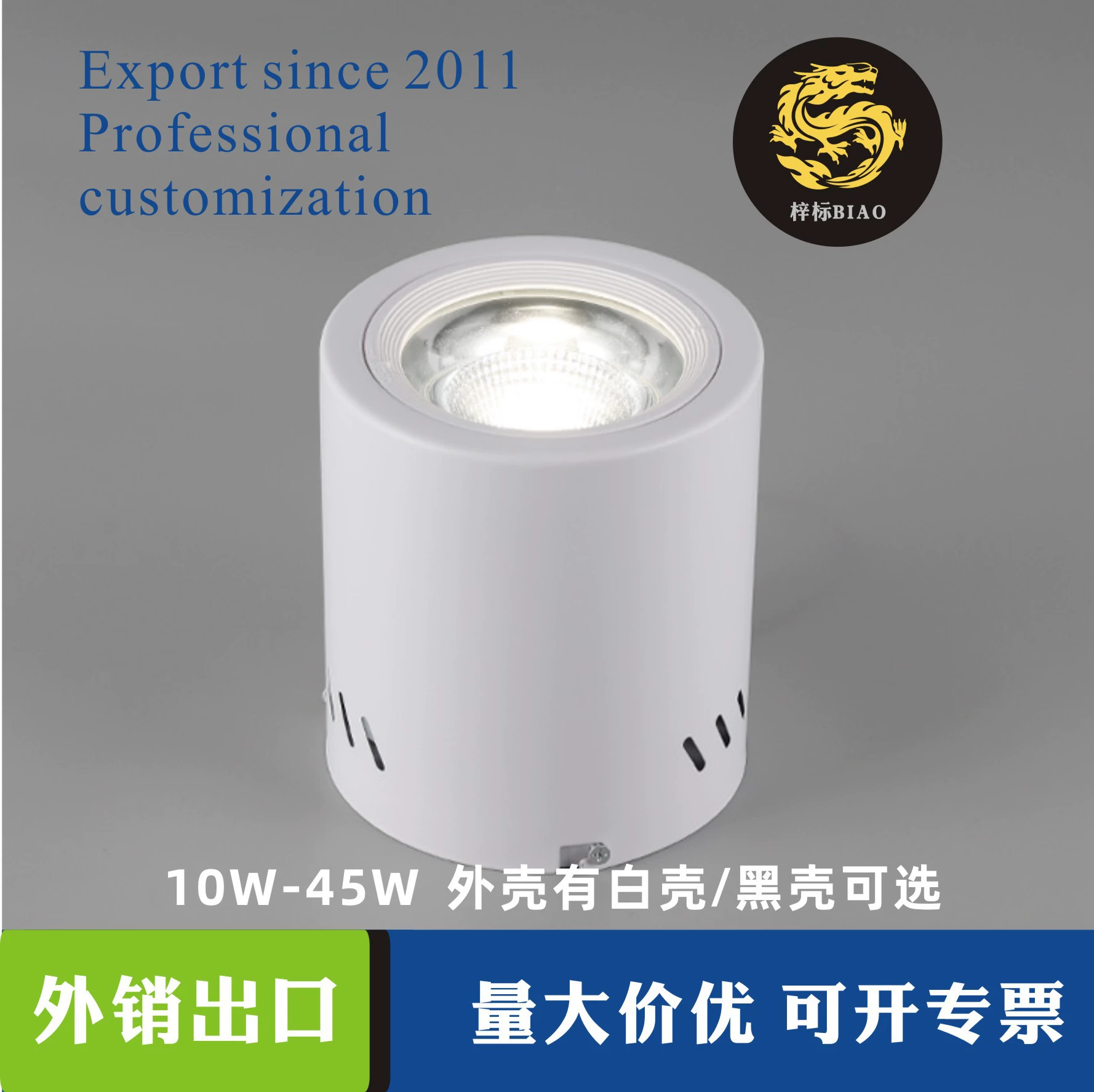 Mounted lights, LED accessories for hotel, ceiling light, 8inch, 30W
