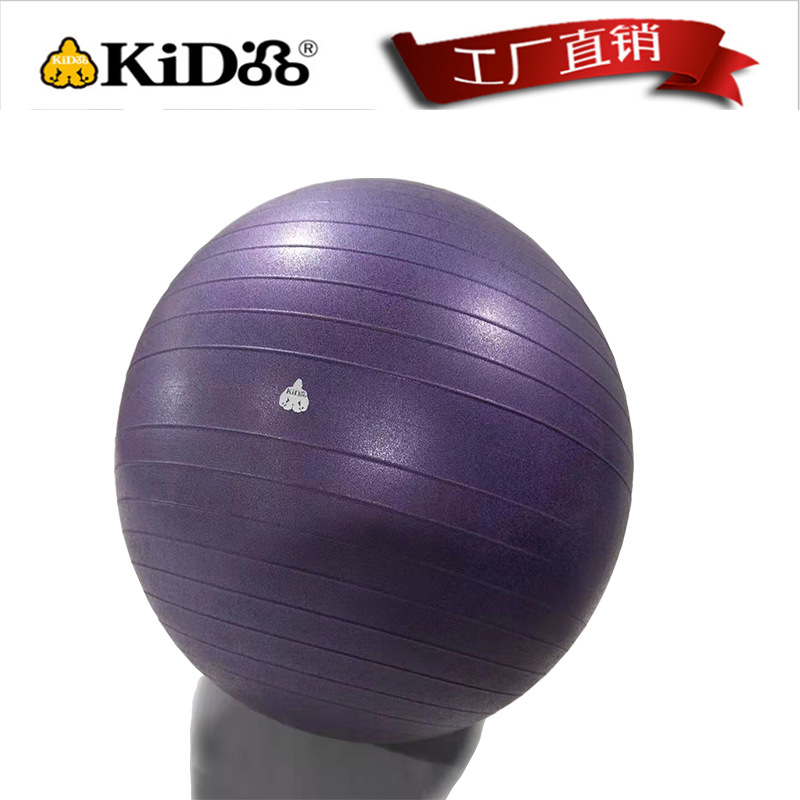 Sports activity Large Super Soft Yoga ball Custom models