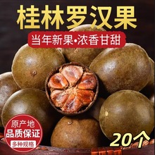 �V���_�h���ɹ��������b�͜غ濾��Ȼ��ζ�o���B����ԭ�a��ֱ��