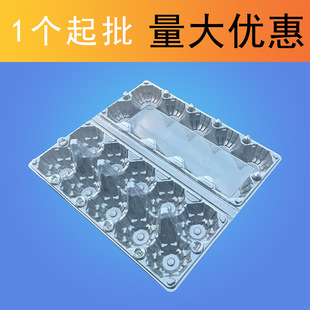 pet͸�������u���� 10���b�u�����ӬF؛�����u����10ö�Ӻ�������