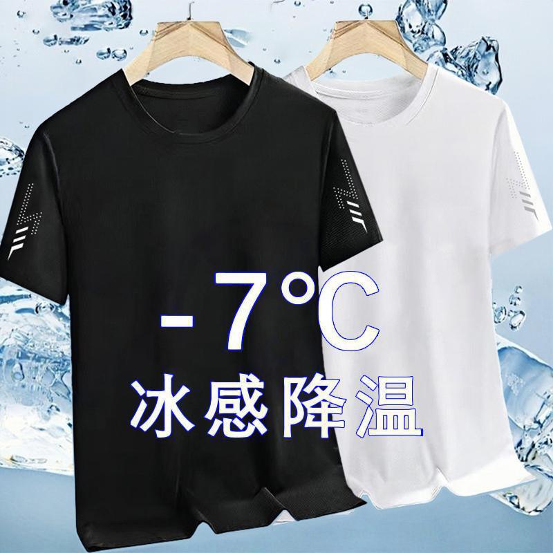 Ice Silk T-Shirt Men's Round Neck Quick-Drying Short-Sleeved Summer Thin Breathable Half-Sleeved Large Size Top Men's Sports Loose Trendy