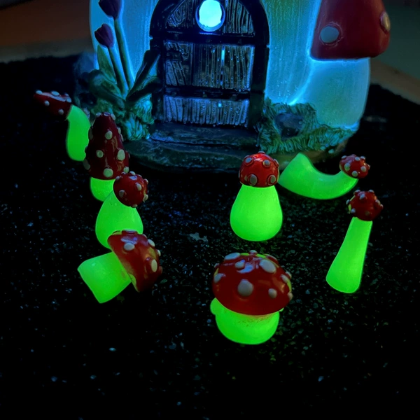 Mushroom