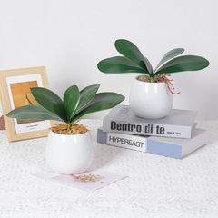 仿真蝴蝶蘭葉子 PU膠片蝴蝶蘭葉EVA軟膠蝴蝶蘭花葉子插花配件