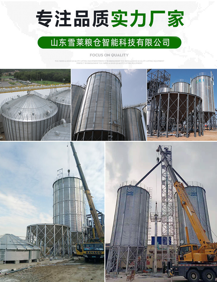 新品粮食钢板仓 2000吨立筒仓 雪莱热镀锌钢板仓 储存稻谷玉米-阿里巴巴