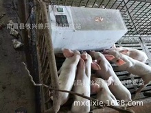 ���i�a�̙CșС�����ܼӟ�a�ؔ�����̋��C�|�F����ιșˮ������