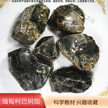 缅甸柯巴树脂雕刻首饰琥珀练手料博物馆收藏标本原石珂巴手工雕刻