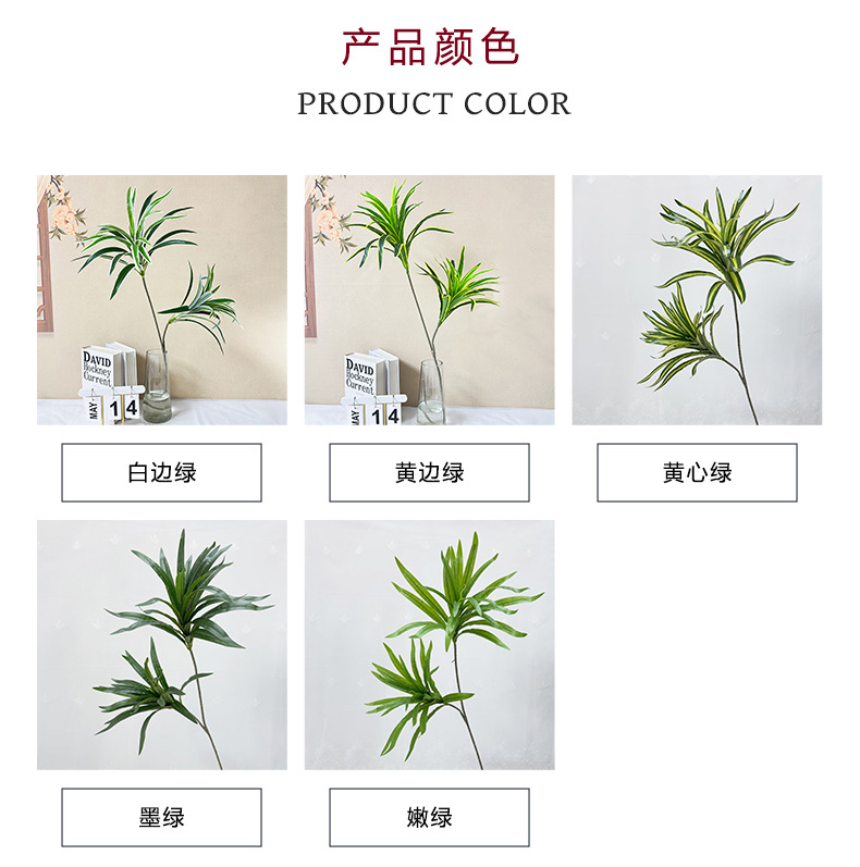 详情图