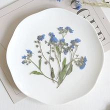 带枝勿忘我干花压花滴胶手机壳花材手账手工书签蜡牌押花12枝一包