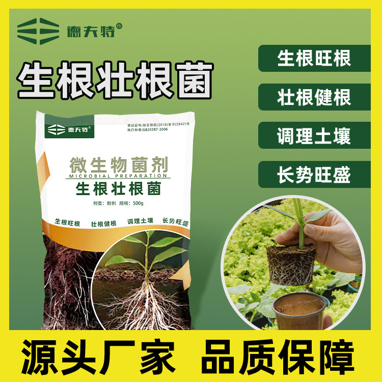 德夫特生根壮根微生物菌剂生根壮根壮苗防沤根全水溶厂家批发