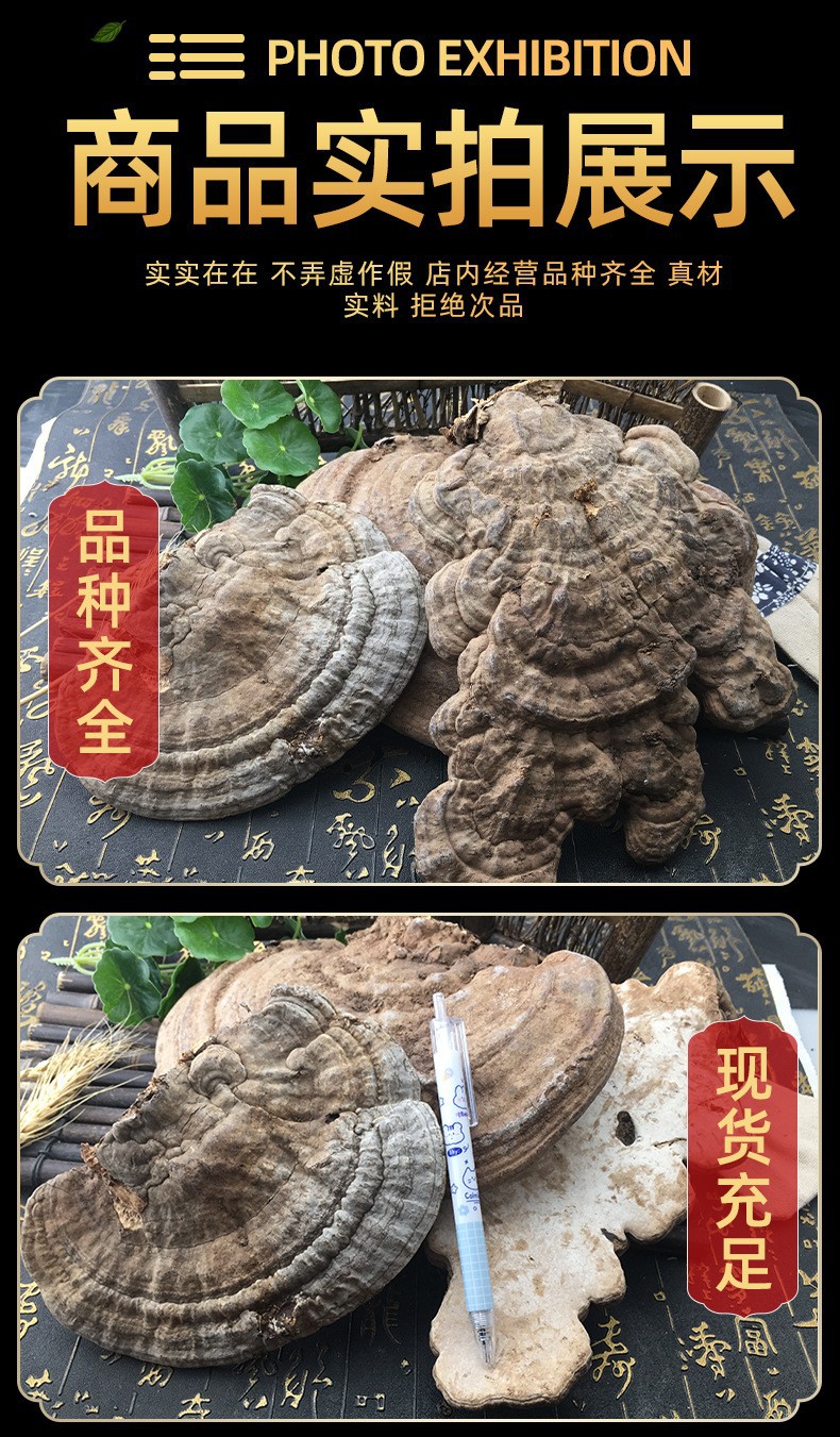 Dried Tree Tongue Lingzhi Shu She Zhi Bulk Whole Slices Traditional Herbal Decoction Ingredient 500g quality and texture