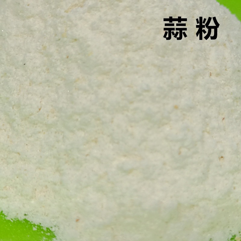 Western-Style Fishing Bait Garlic Powder 40G*Bag Allicin Additive for Fishing for Silver Carp and Bighead Carp, Specifically for Silver Carp and Bighead Carp Fishing