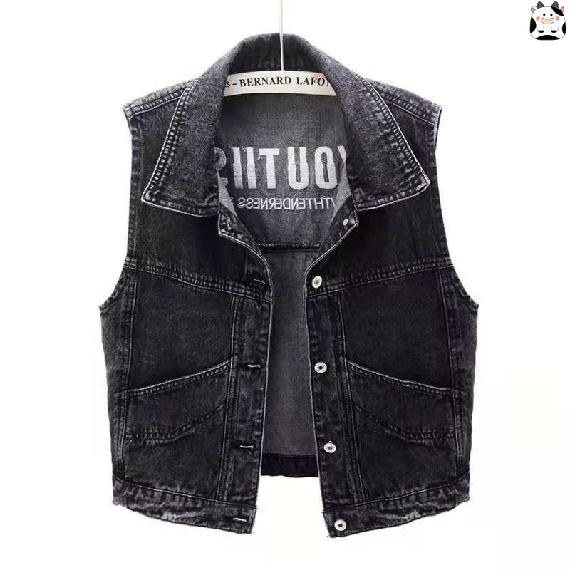 Women's Denim Vest Spring Summer Autumn New Versatile Embroidered Short Trendy Vest Top