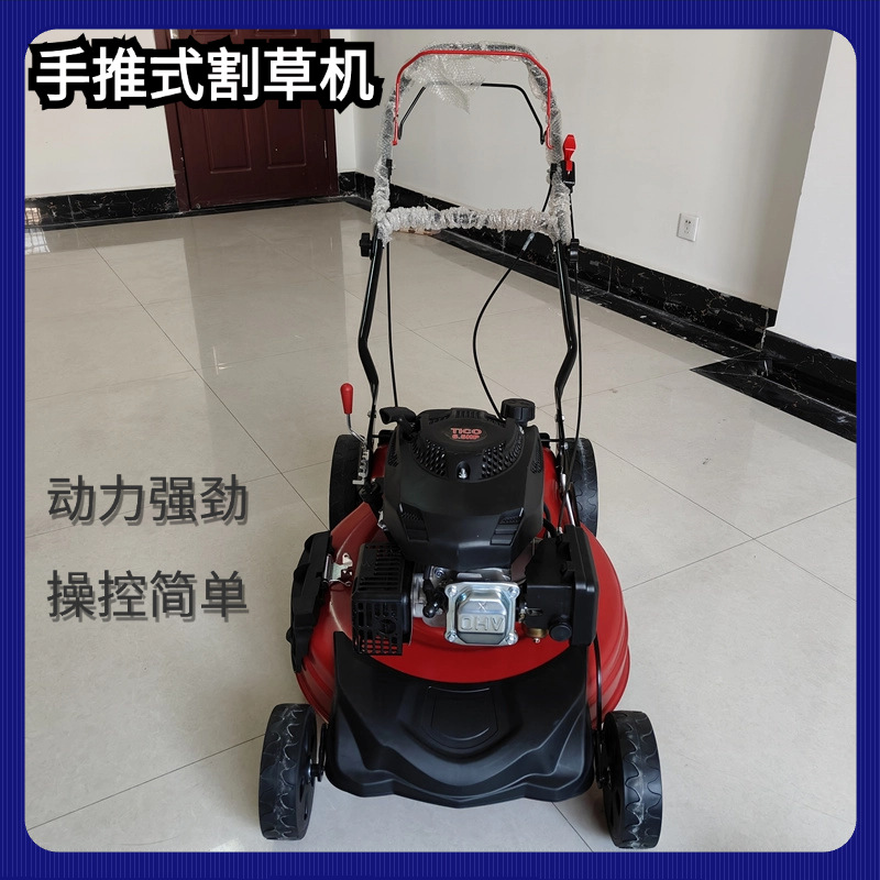 供应零售大功率四冲程手推式汽油割草机 小区草坪绿化修剪草坪机