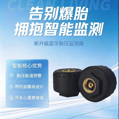 External Waterproof Bluetooth Model — Tire pressure monitoring system
