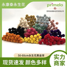 黄金球永生花20枝/束 装饰花束批发DIY材料包家居装饰礼物拍照