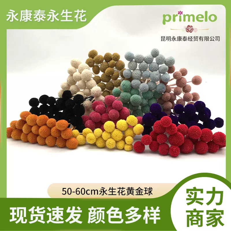 黄金球永生花20枝/束 装饰花束批发DIY材料包家居装饰礼物拍照