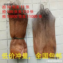 草屋棕片皮绿用装饰树皮茅草萝棒棒衣棕椰茅草屋棕衣棕树棕麦太保