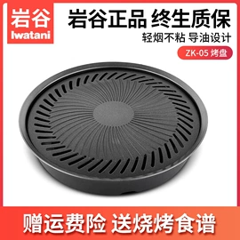 野餐炉具;烧烤盘;厨用点火器