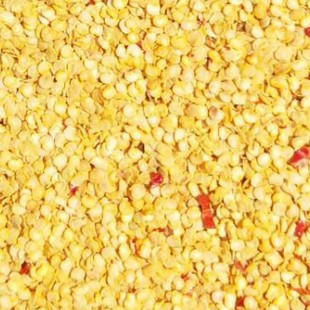 ���������ѻ�Ƥ�N�ӿ羳���ڏS�����lҎ�����������