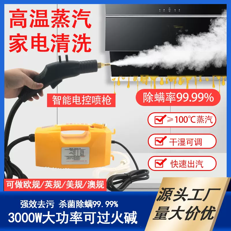 高温手持蒸汽清洗机多功能空调油烟机家电去污清洗设备零售批发CE