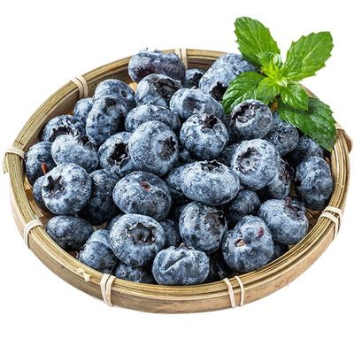 selected 3A Peru fresh Blueberry Fresh fruit 8 Trade price Full container Season fruit