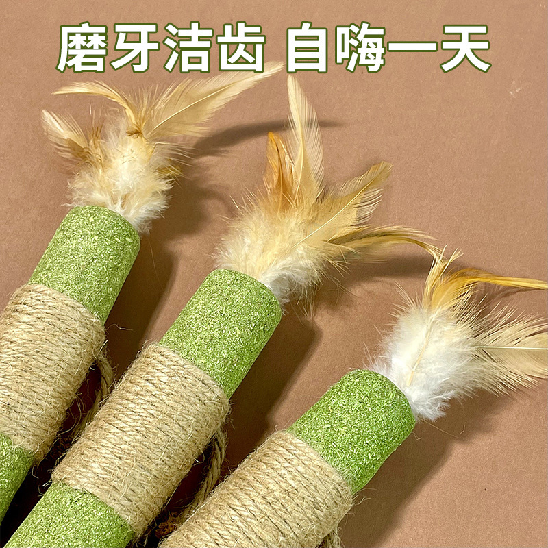 猫玩具猫薄荷磨牙棒虫瘿果猫猫玩具逗猫自嗨解闷耐咬耐抓猫咪玩具|undefined