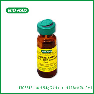 ����Bio-Rad  1706515  ɽ����IgG��H+L��-HRP�Y����