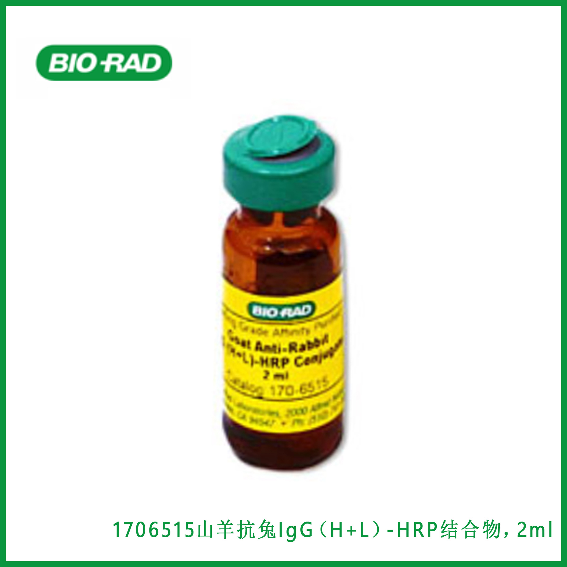 伯乐Bio-Rad  1706515  山羊抗兔IgG（H+L）-HRP结合物