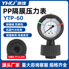 YTP-60PP隔膜压力表 LUDl耐酸碱 防腐10kg 4分螺纹 源煌科技 内丝