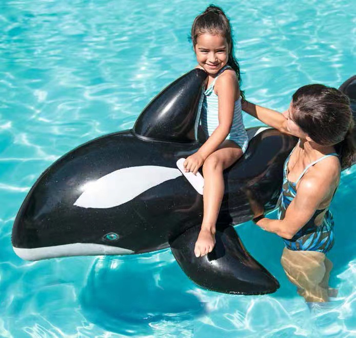 1684423cb8ea0a7a7f5fa4e197fdac