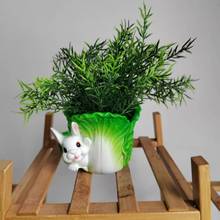 �F����@�L��ͨ�ײ����ӻ���ҾӶ���Gֲ�廨���֬�b[��ֲ��