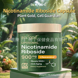 nad胶囊NAD+ Capsules跨境外贸现货亚马逊tk单核苷酸烟酰胺胶囊