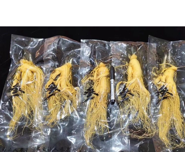 Fresh Northeast Ginseng Root Vacuum Packed Changbai Mountain Ginseng for Wine Soaking 20g specifications