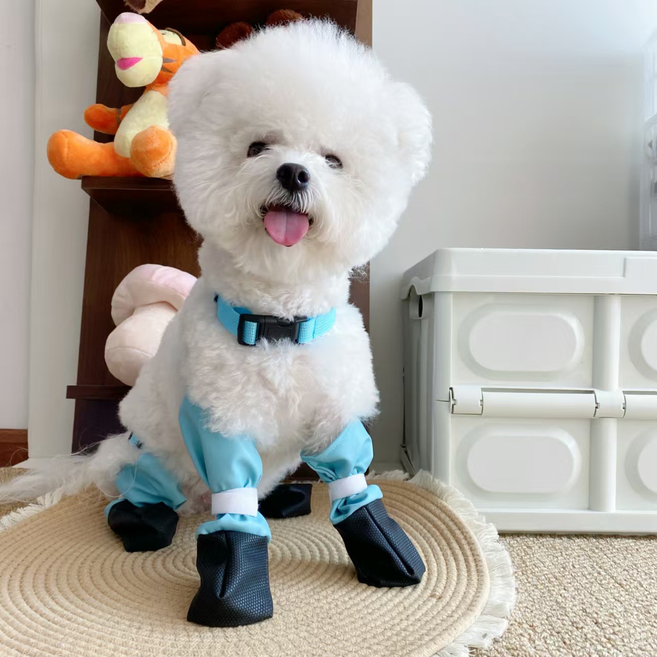 파란색은 신발에서 떨어지지 않습니다