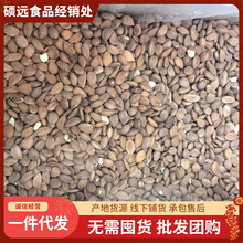 大量库存杏仁 散装农产品苦杏仁扁桃仁中药材批发带皮颗粒饱