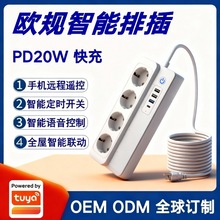 TfWҎҎŲPD20Whbضr_P