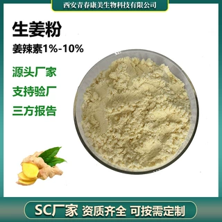 源头厂家 生姜粉 姜辣素1%-10% 姜茶原料 规格齐全 可加工定制