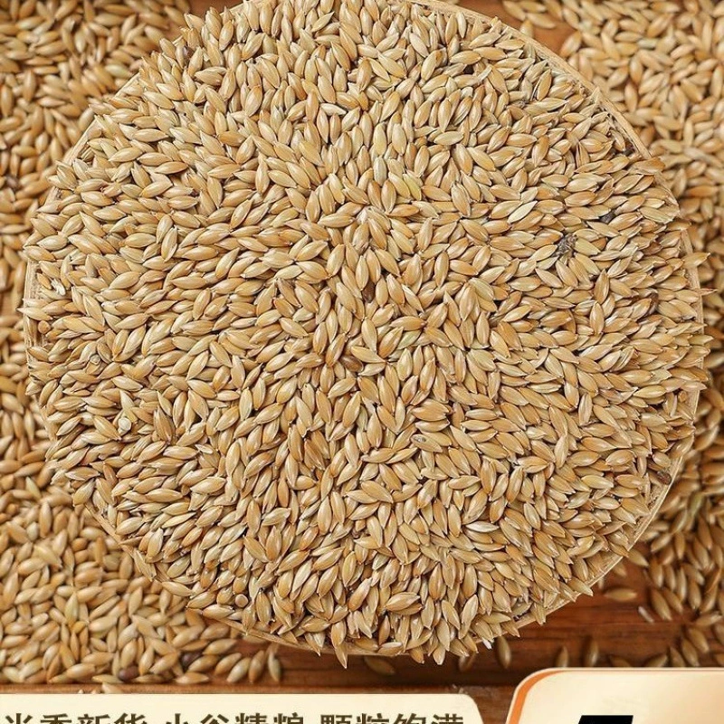 Канареечные семена, корм для птиц, белые семена с маслом, корм для канареек, корм для воробьев и голубей