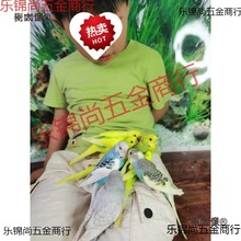 ��Ƥ�W�^���B��С�͕��fԒ�Č����B�������B���P���BС�B�B��̫��