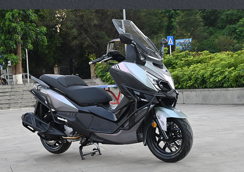 Suitable for Sanyang Cruisym 300 Crash Guard, Anti-Fall Protection, Front and Rear Exhaust Pipe Bumper, Modified Pedal Rack