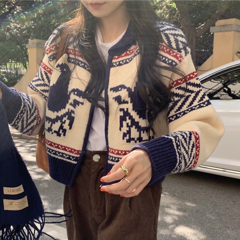 Chaqueta corta tipo suéter para mujeres pequeñas, otoño 2023, nuevo estilo japonés vintage, cárdigan de punto holgado de manga larga. image 4