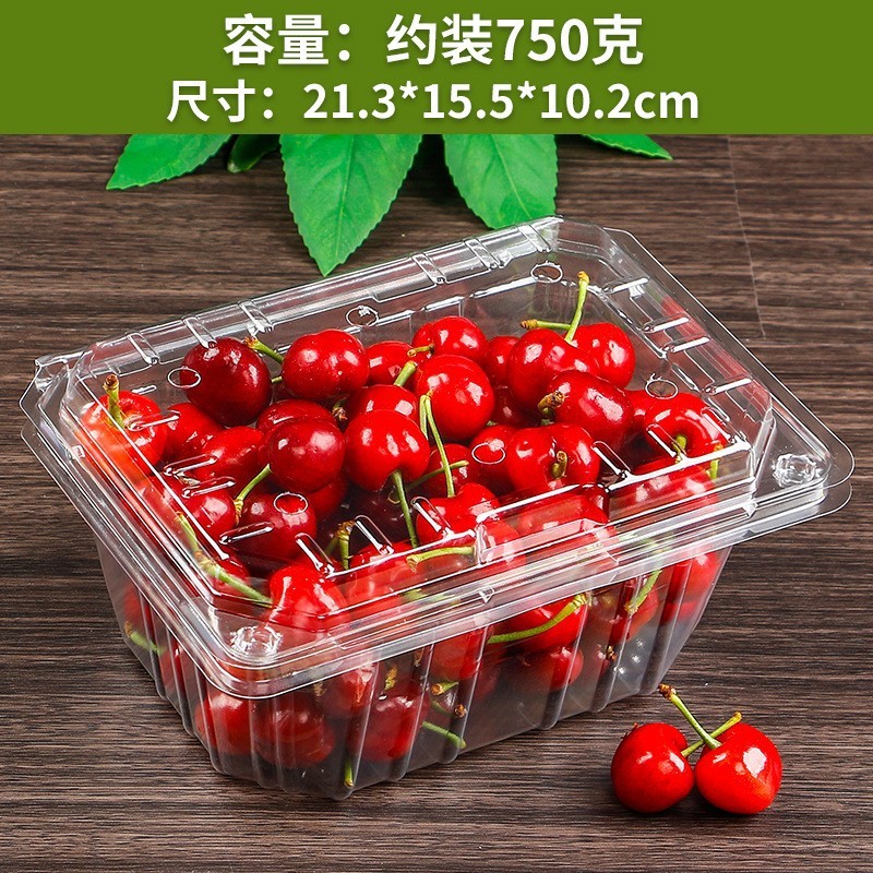 卸売り使い捨て透明果物包装箱は、抗圧PET果切箱の超専用スイカ包装箱を厚くする|undefined