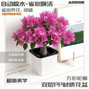 ���Α��˻����֬���ϾG�}�������愓�⺆�s�Ԅ���ˮ���وD�y����