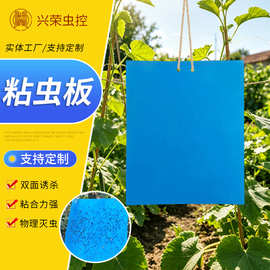 货源供应粘虫板 双面诱虫板黄板蓝板大棚专用粘虫板 园林捕虫贴