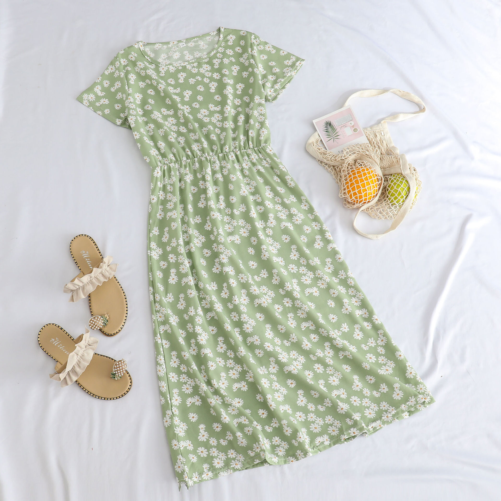 F39 녹색 작은 국화