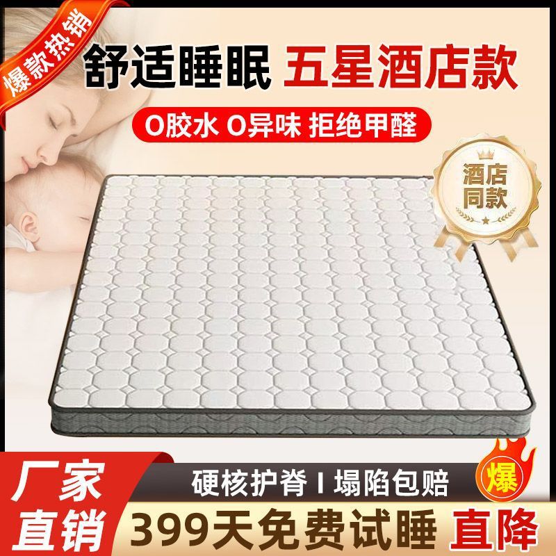 天然椰棕床垫家用环保卧室护脊棕榈乳胶出租房学生可榻榻米垫厂家